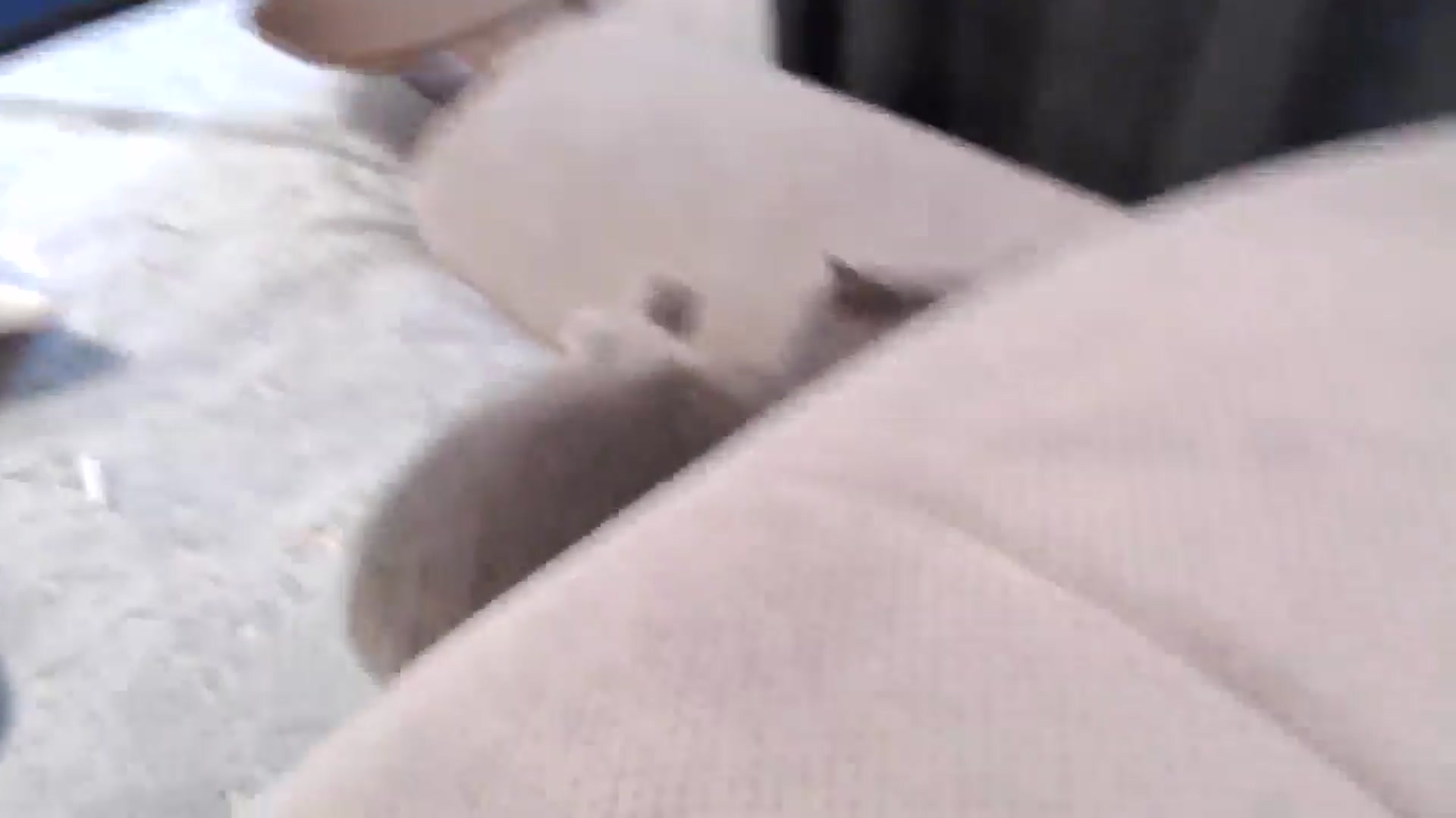 Gallery image thumbnail from Aryelle_'s myfreecams stream on, 03/17/2025, 13:04 image 11 of 20