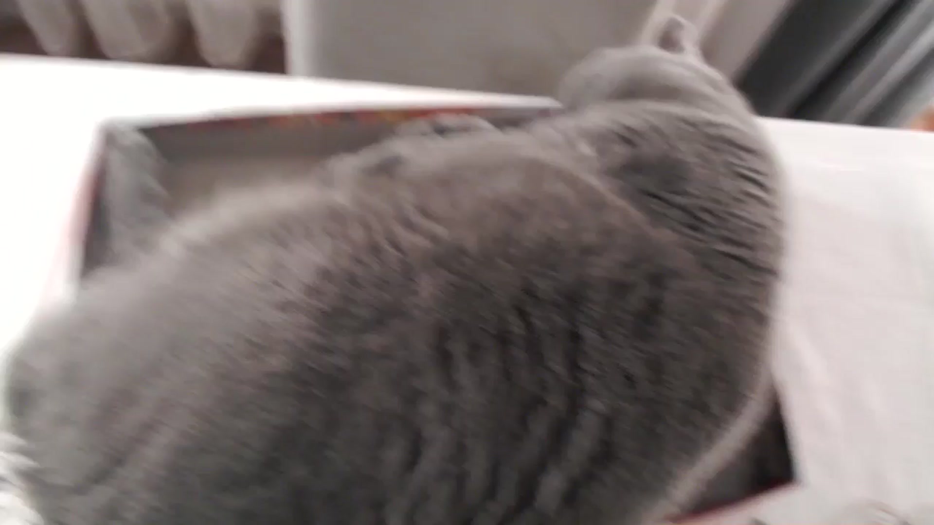 Gallery image thumbnail from Aryelle_'s myfreecams stream on, 06/14/2025, 21:35 image 17 of 20