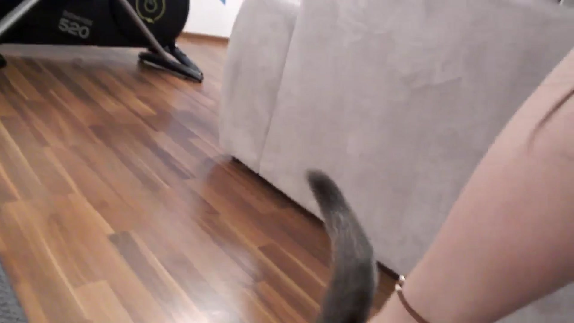 Gallery image thumbnail from Aryelle_'s myfreecams stream on, 07/14/2025, 23:27 image 14 of 20