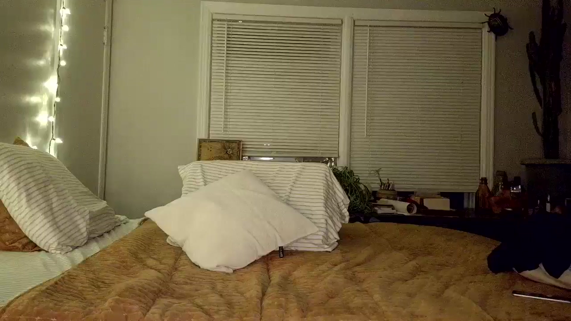 Gallery image thumbnail from AsYouWish's myfreecams stream on, 11/06/2025, 03:19 image 3 of 20