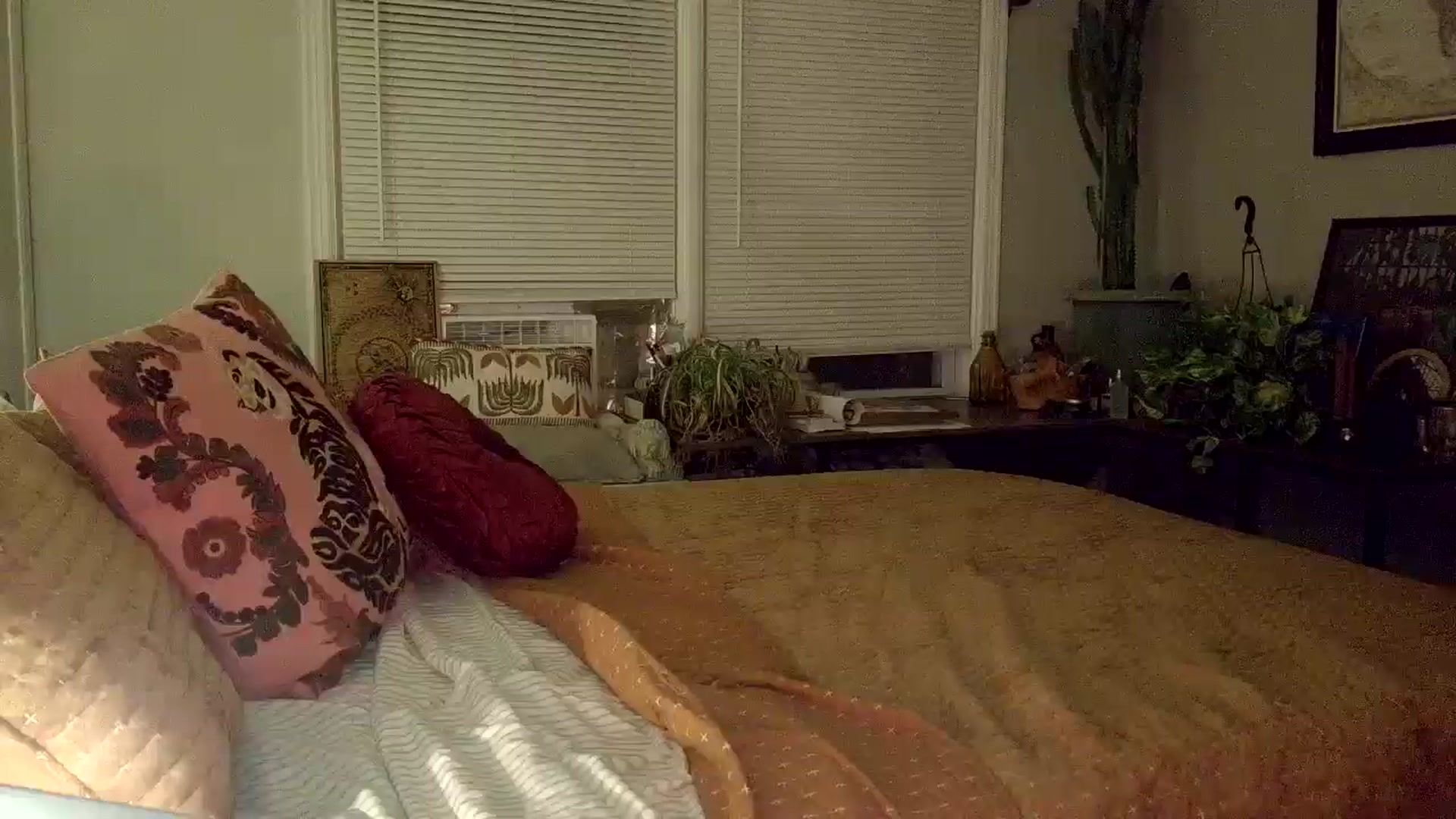 Gallery image thumbnail from AsYouWish's myfreecams stream on, 12/14/2025, 01:37 image 9 of 20