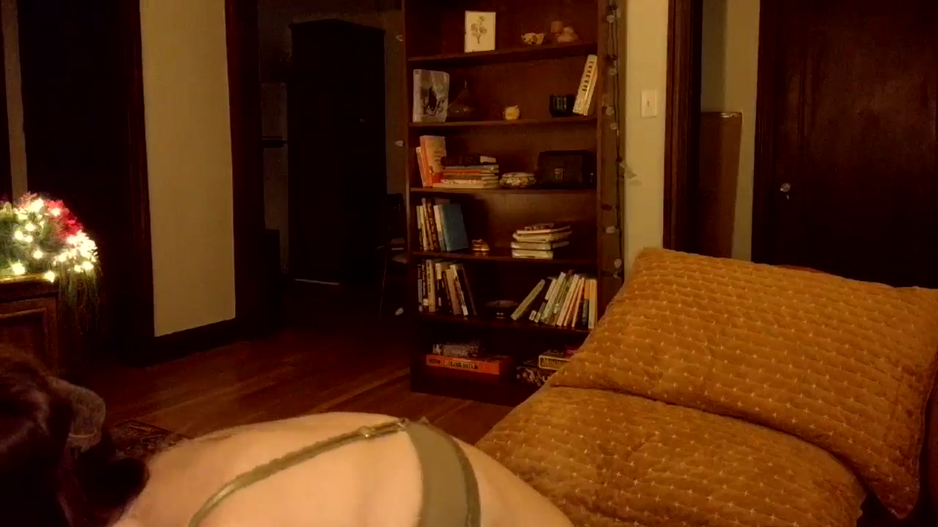 Gallery image thumbnail from AsYouWish's myfreecams stream on, 12/31/2025, 03:50 image 16 of 20