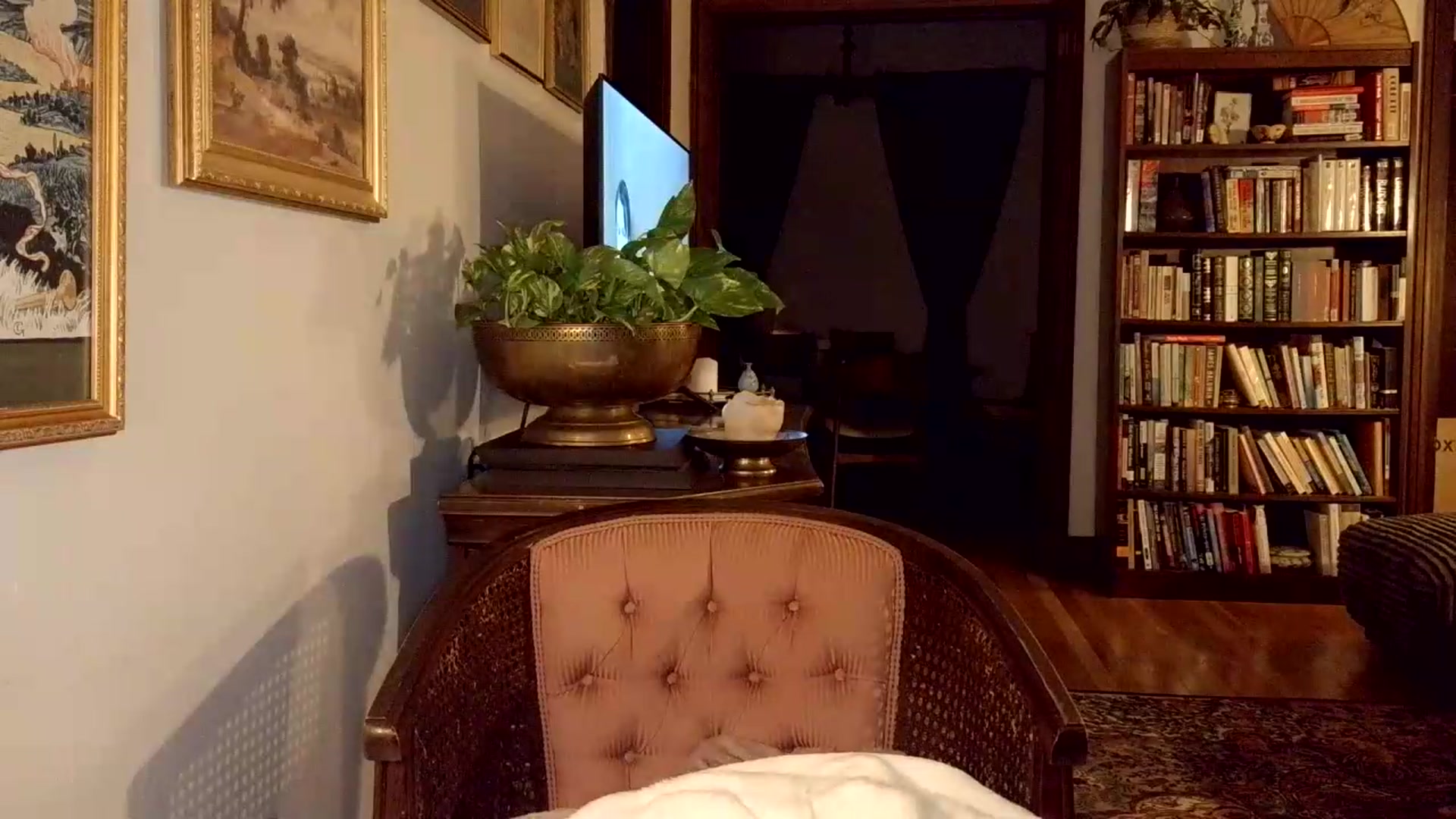Gallery image thumbnail from AsYouWish's myfreecams stream on, 07/31/2026, 05:08 image 14 of 20
