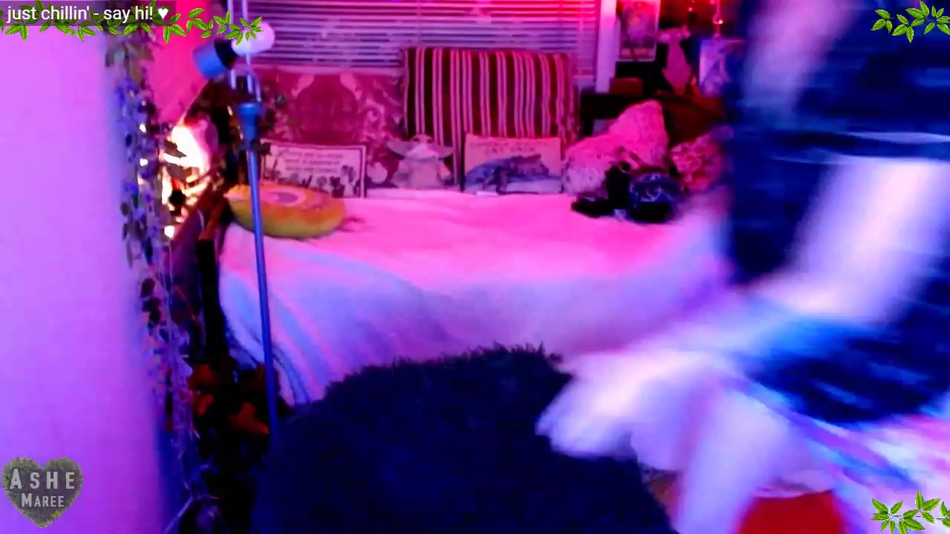 Gallery image thumbnail from Ashe_Maree's myfreecams stream on, 01/01/2023, 06:05 image 5 of 20