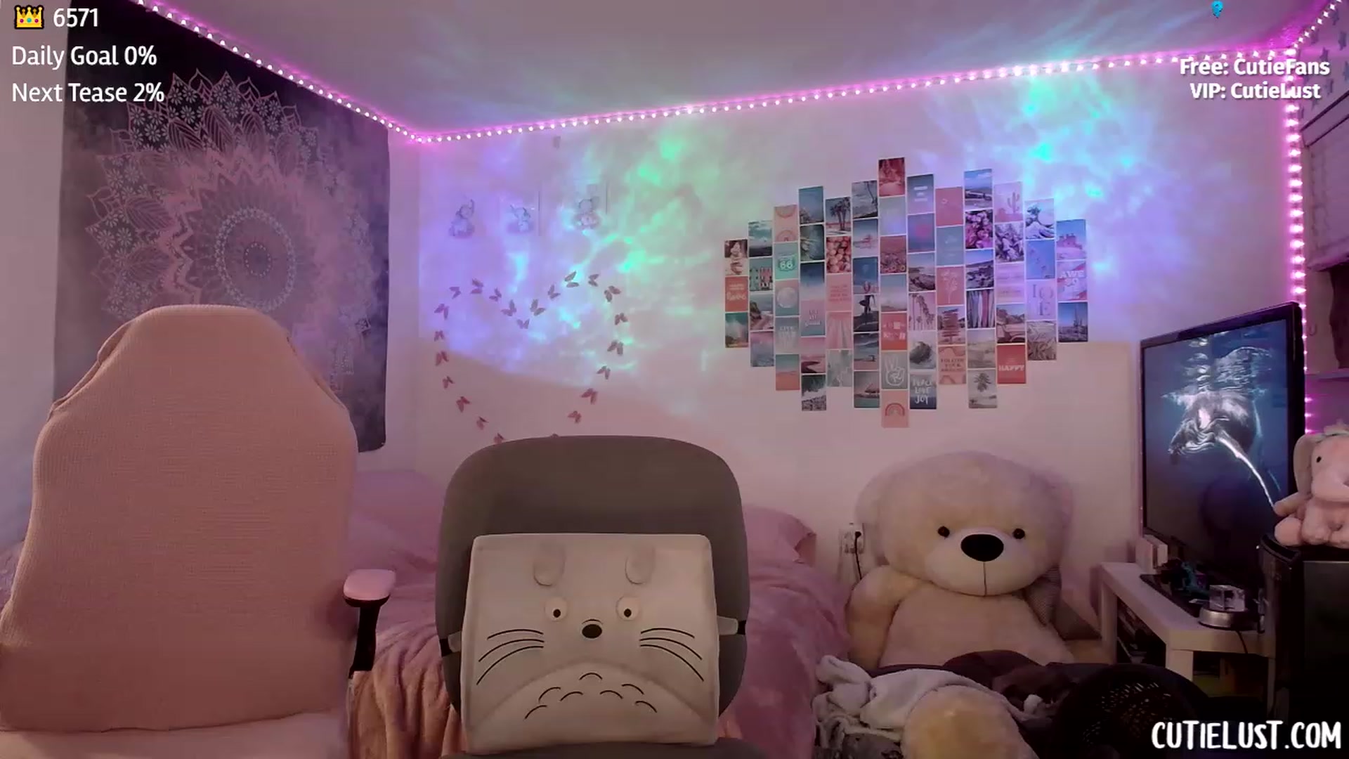 Gallery image thumbnail from Ashley's myfreecams stream on, 02/12/2023, 05:06 image 8 of 20