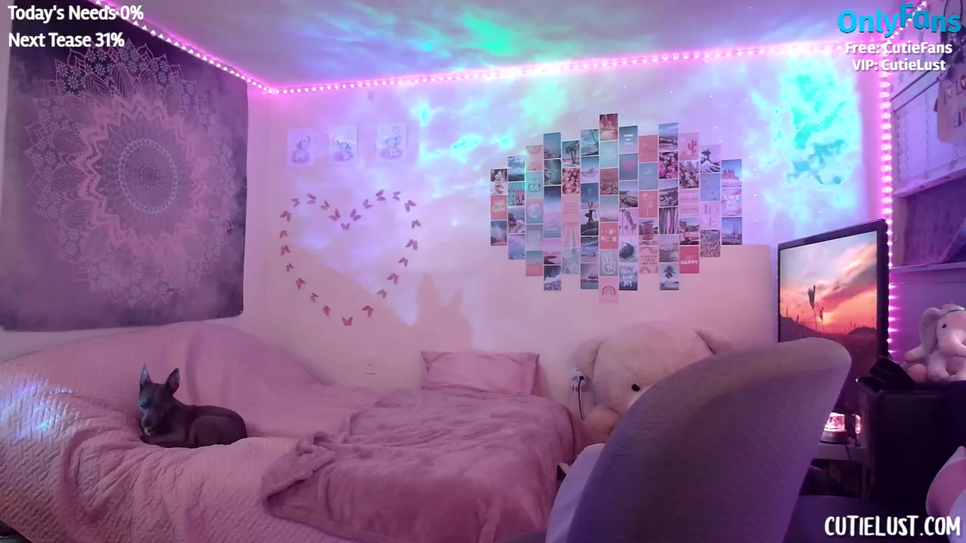 Gallery image thumbnail from Ashley's myfreecams stream on, 02/19/2023, 06:03 image 2 of 20