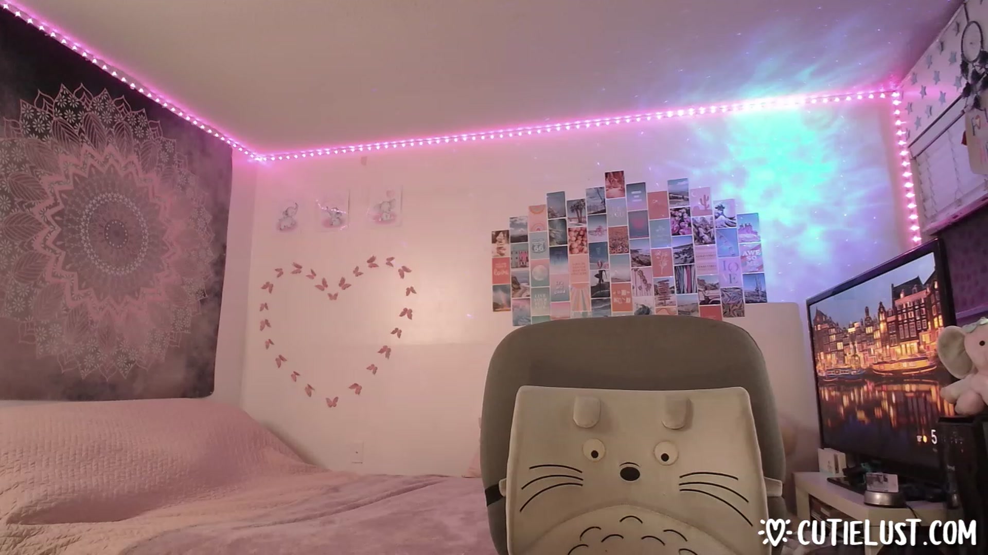 Gallery image thumbnail from Ashley's myfreecams stream on, 02/25/2023, 11:07 image 15 of 20