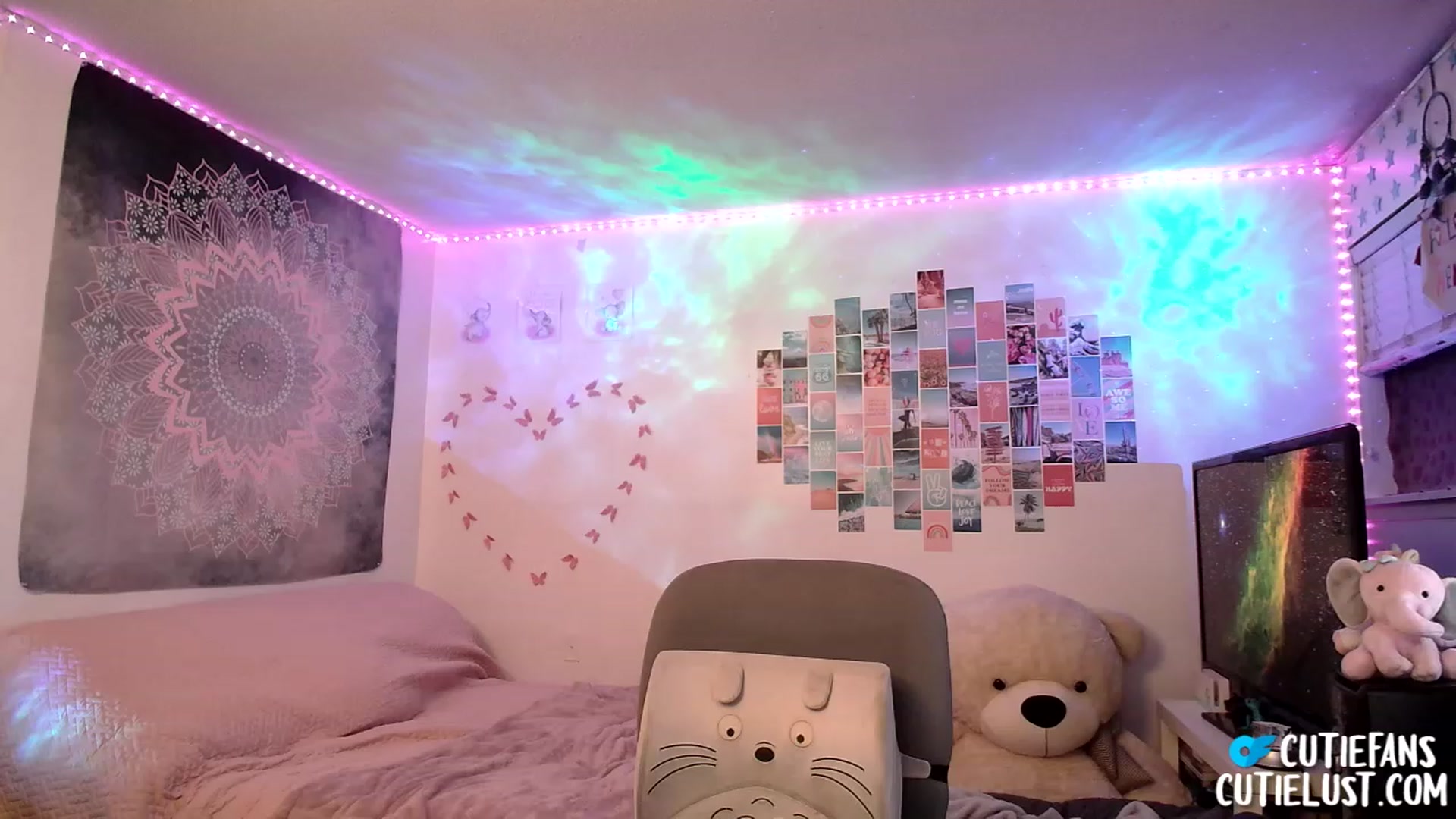 Gallery image thumbnail from Ashley's myfreecams stream on, 02/26/2023, 12:11 image 1 of 20
