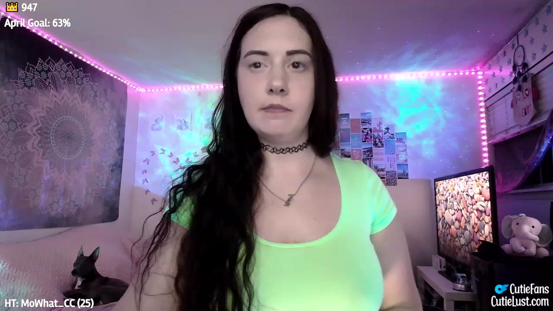 Gallery image thumbnail from Ashley's myfreecams stream on, 04/30/2023, 07:20 image 18 of 20