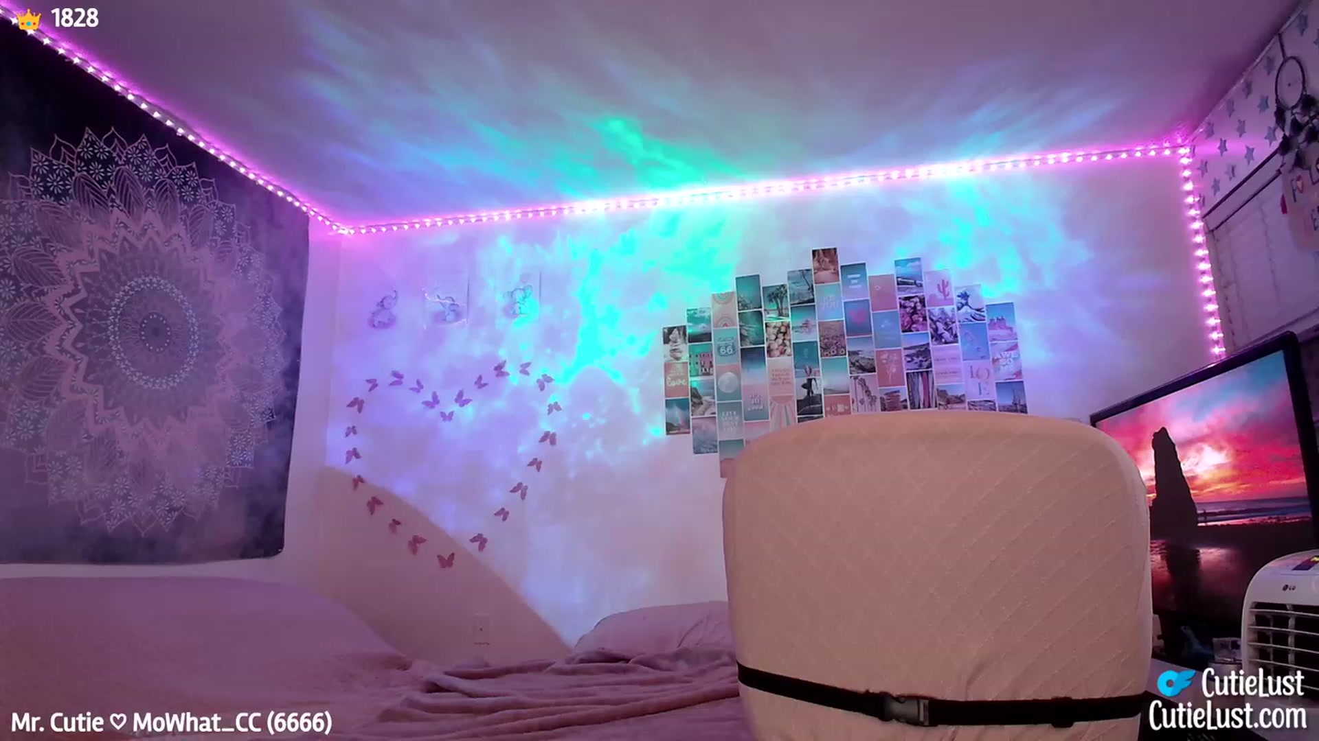 Gallery image thumbnail from Ashley's myfreecams stream on, 08/26/2023, 10:20 image 19 of 20