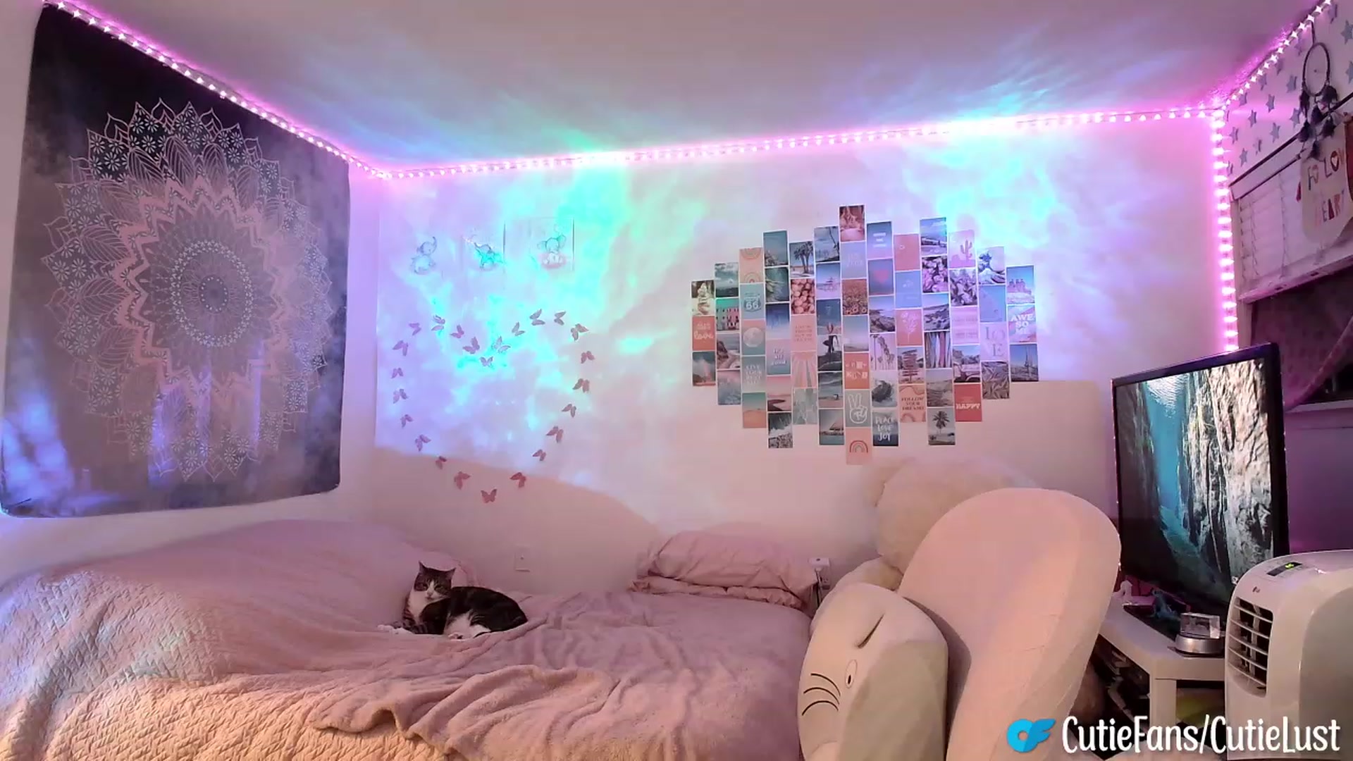 Gallery image thumbnail from Ashley's myfreecams stream on, 09/30/2023, 07:28 image 2 of 20