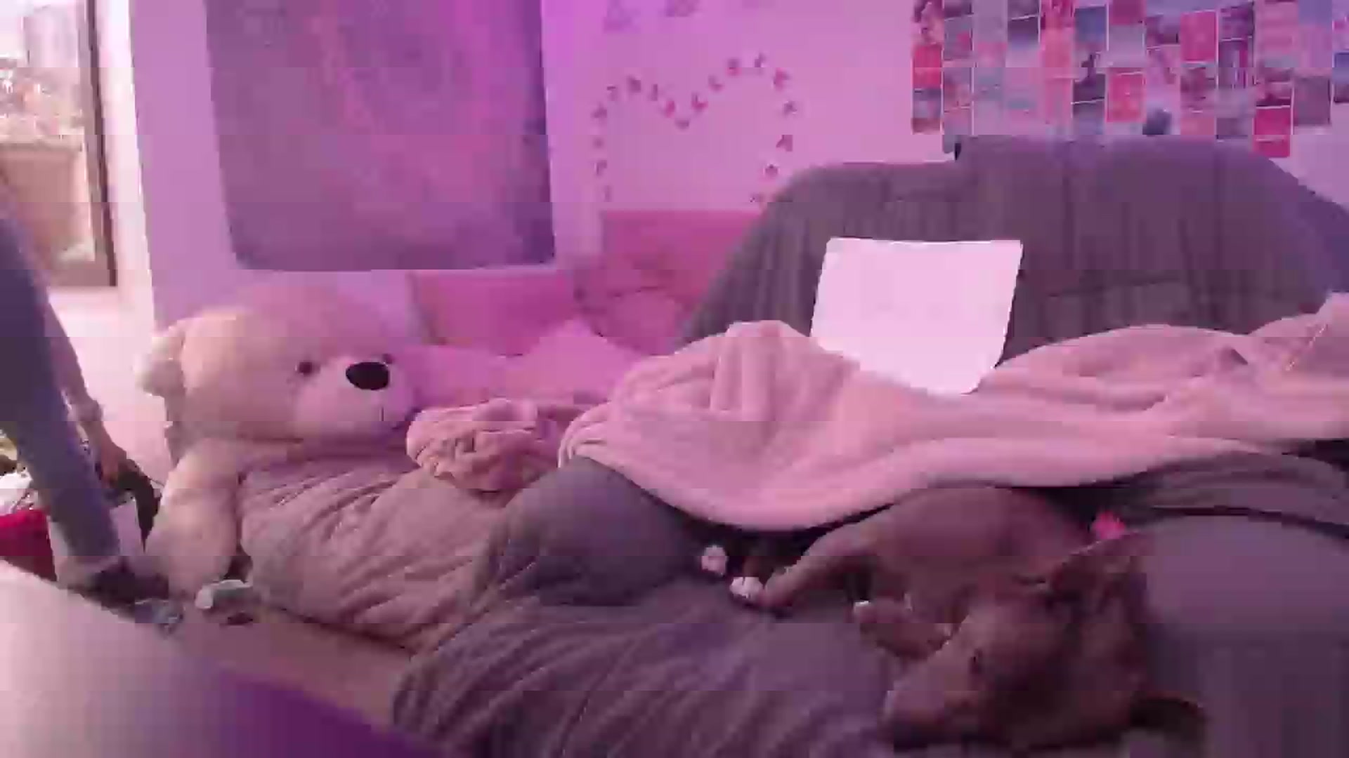 Gallery image thumbnail from Ashley's myfreecams stream on, 09/28/2024, 08:11 image 13 of 20