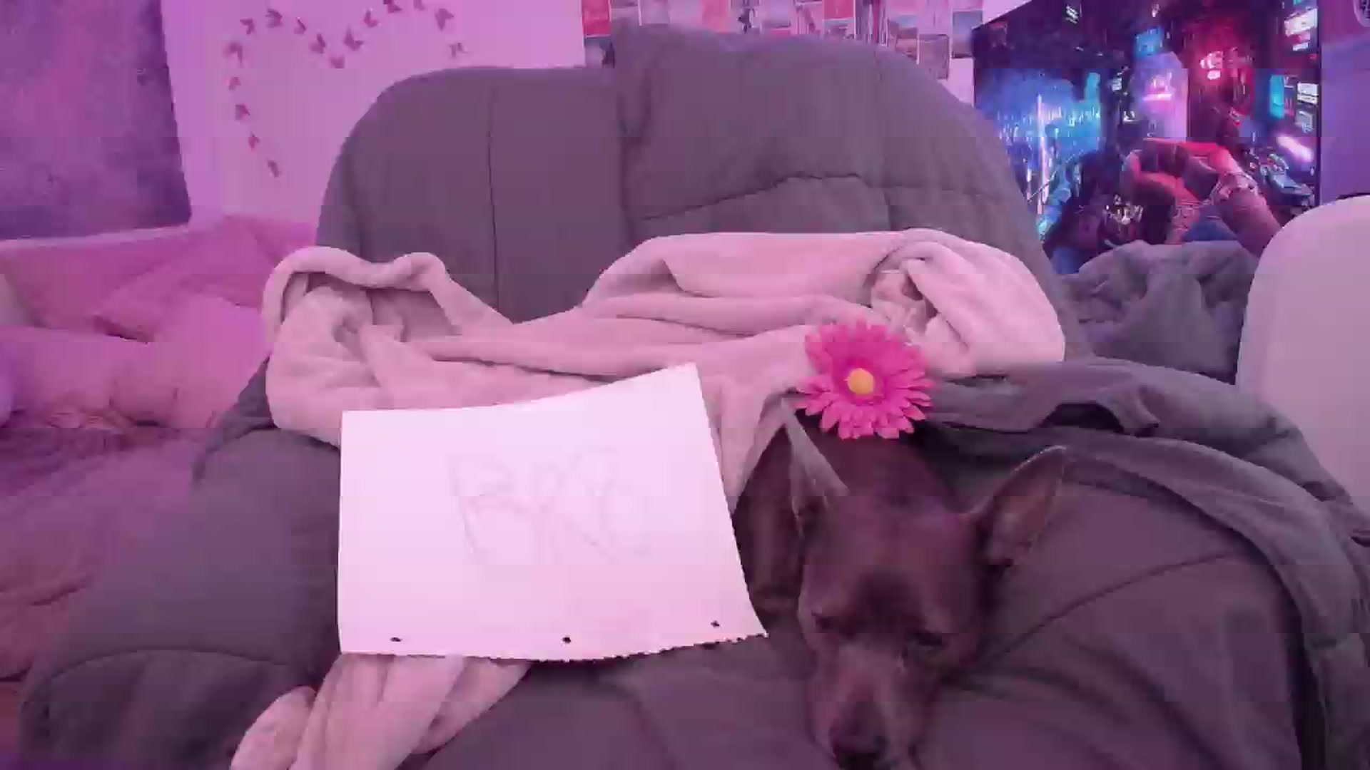 Gallery image thumbnail from Ashley's myfreecams stream on, 09/28/2024, 08:11 image 3 of 20