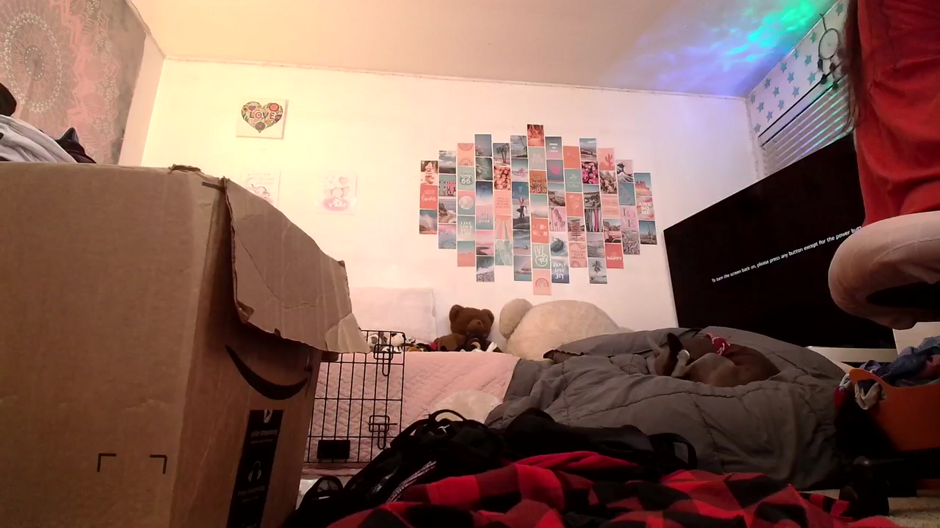Gallery image thumbnail from Ashley's myfreecams stream on, 11/02/2024, 12:27 image 13 of 20