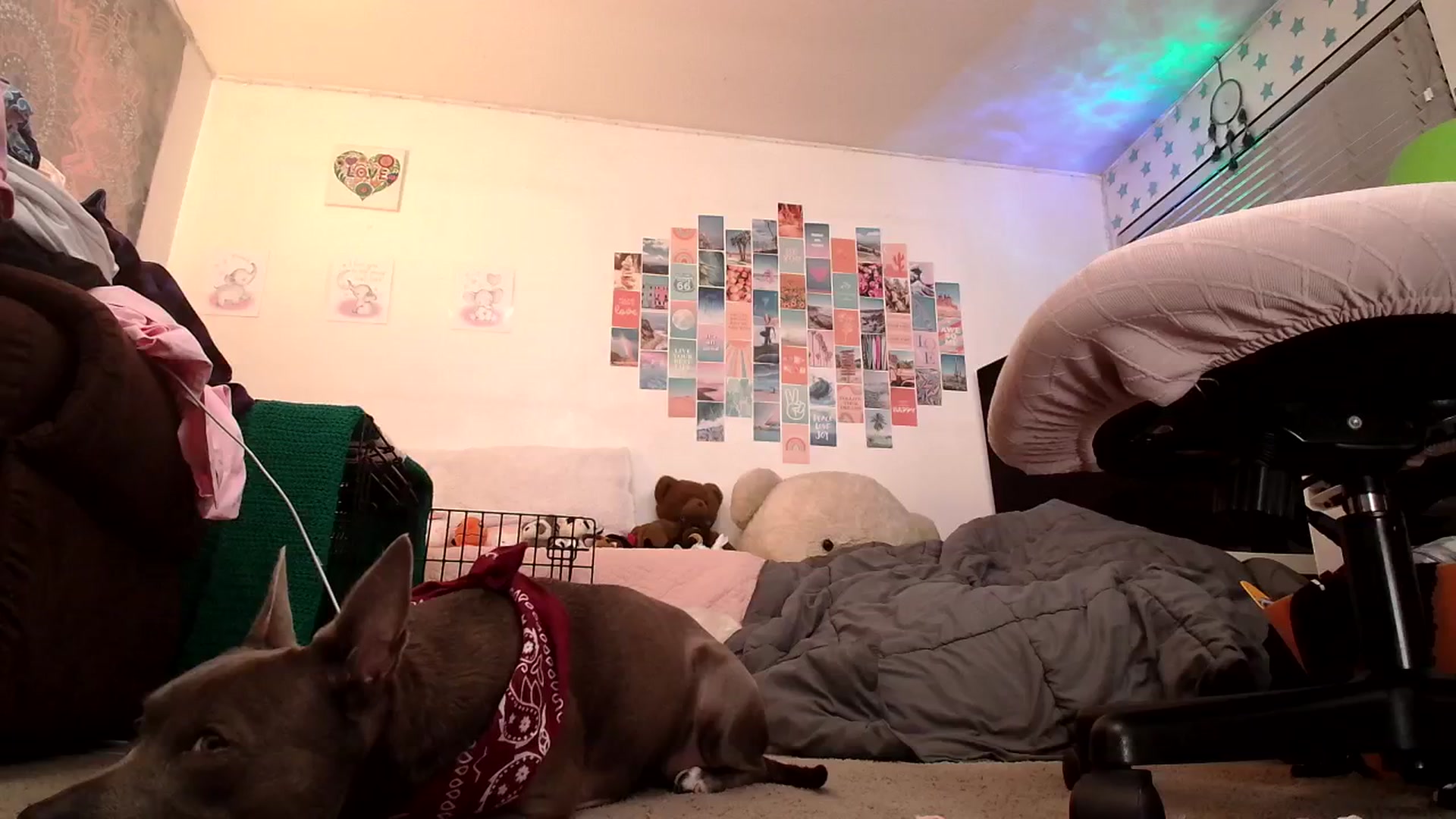 Gallery image thumbnail from Ashley's myfreecams stream on, 11/02/2024, 12:27 image 11 of 20