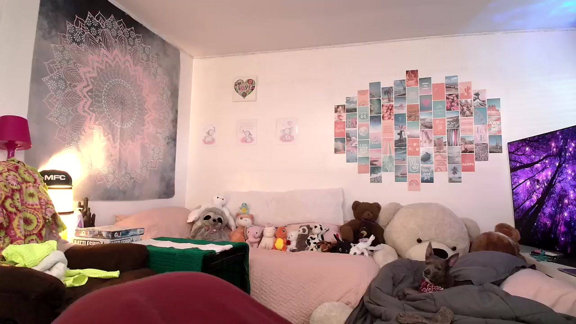 Gallery image thumbnail from Ashley's myfreecams stream on, 11/02/2024, 12:27 image 17 of 20