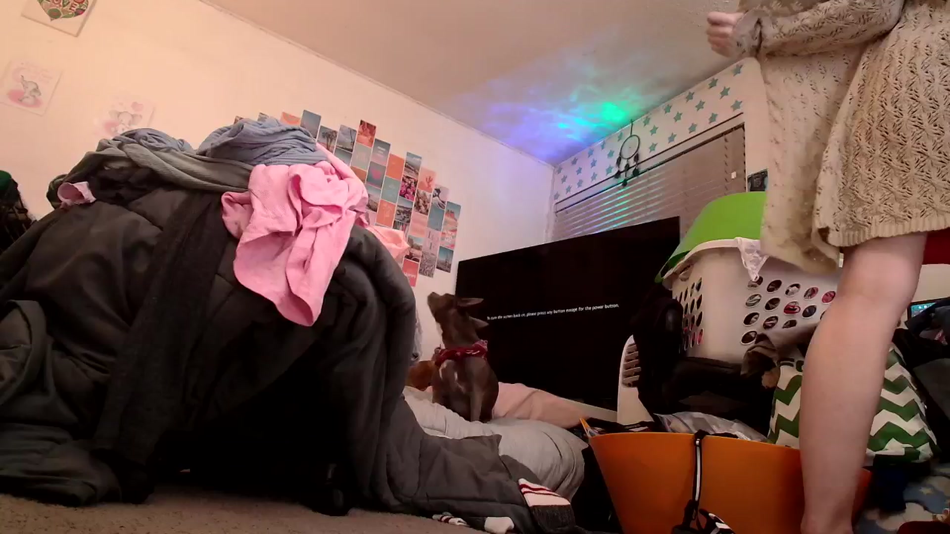 Gallery image thumbnail from Ashley's myfreecams stream on, 11/02/2024, 12:27 image 9 of 20