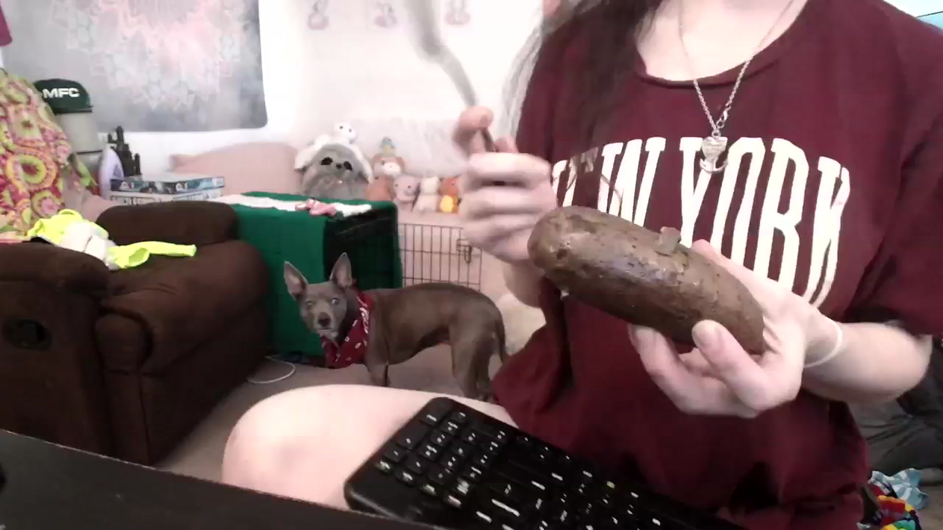 Gallery image thumbnail from Ashley's myfreecams stream on, 11/02/2024, 12:27 image 18 of 20