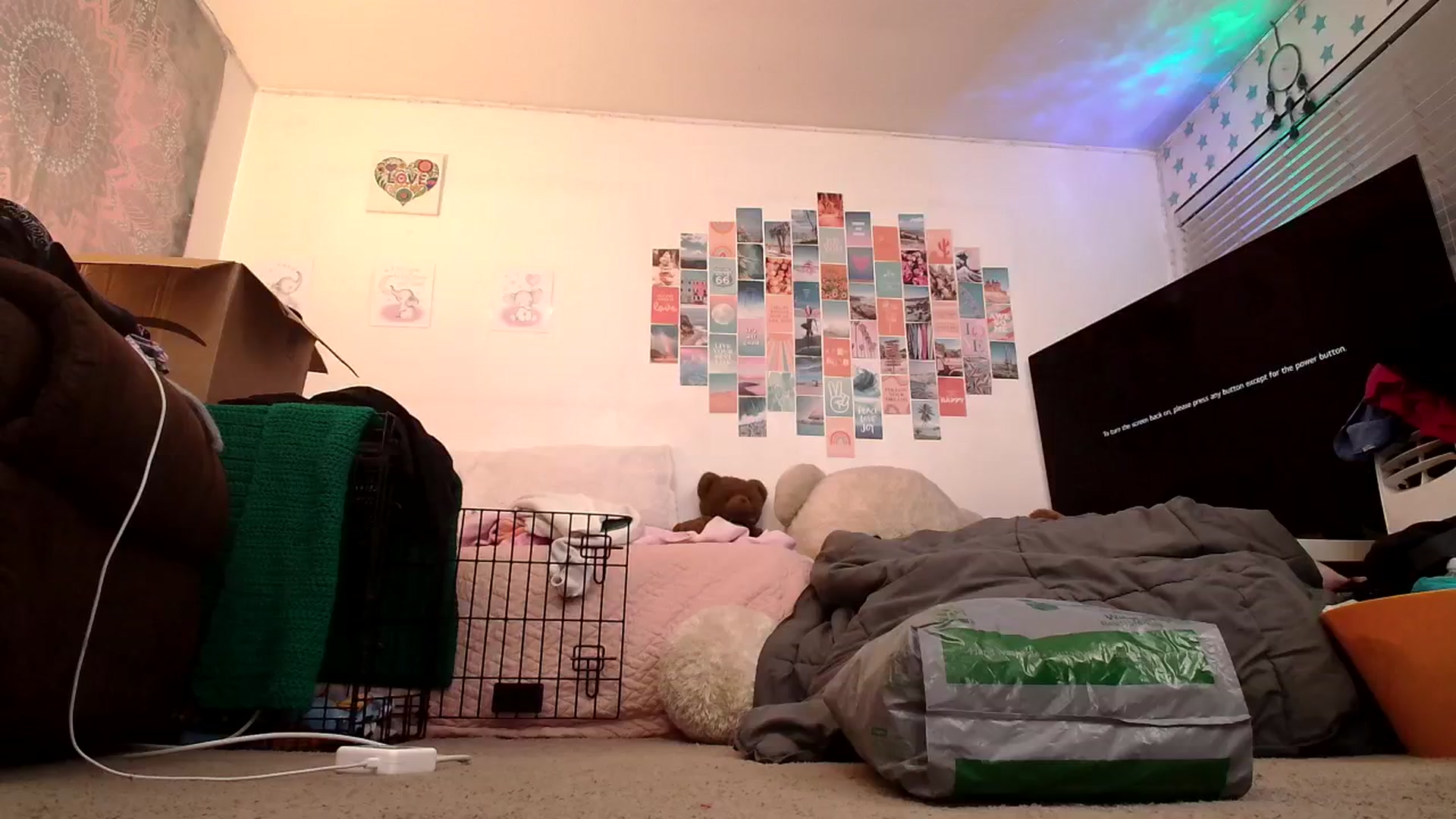 Gallery image thumbnail from Ashley's myfreecams stream on, 11/02/2024, 12:27 image 14 of 20