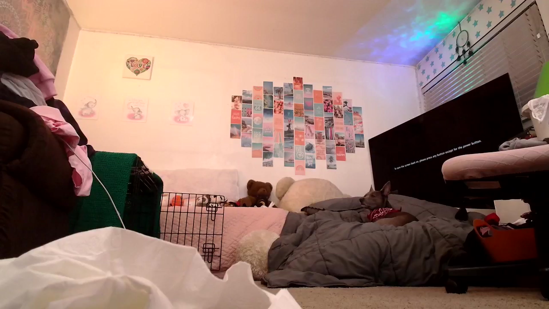Gallery image thumbnail from Ashley's myfreecams stream on, 11/02/2024, 12:27 image 12 of 20