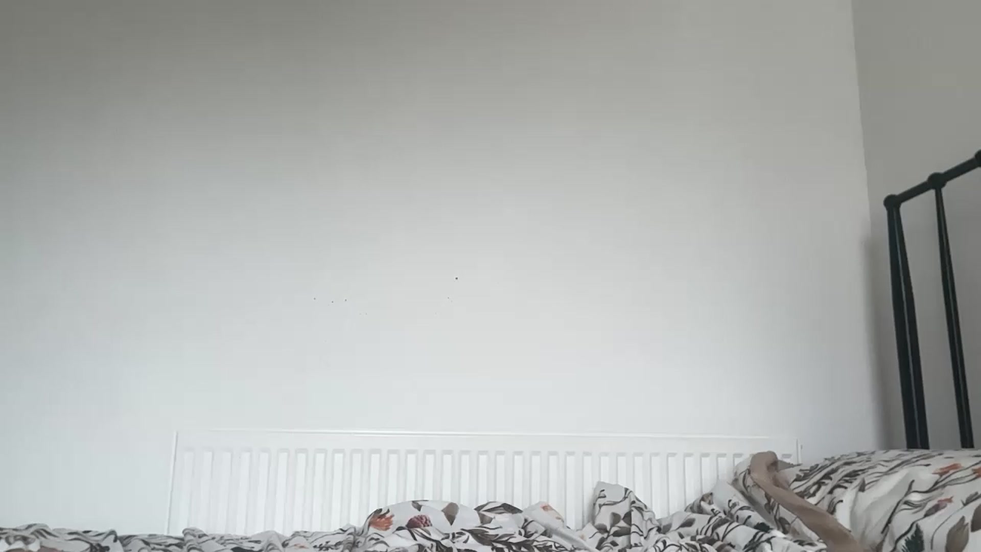 Gallery image thumbnail from AshleyCox's myfreecams stream on, 07/27/2026, 11:25 image 11 of 20