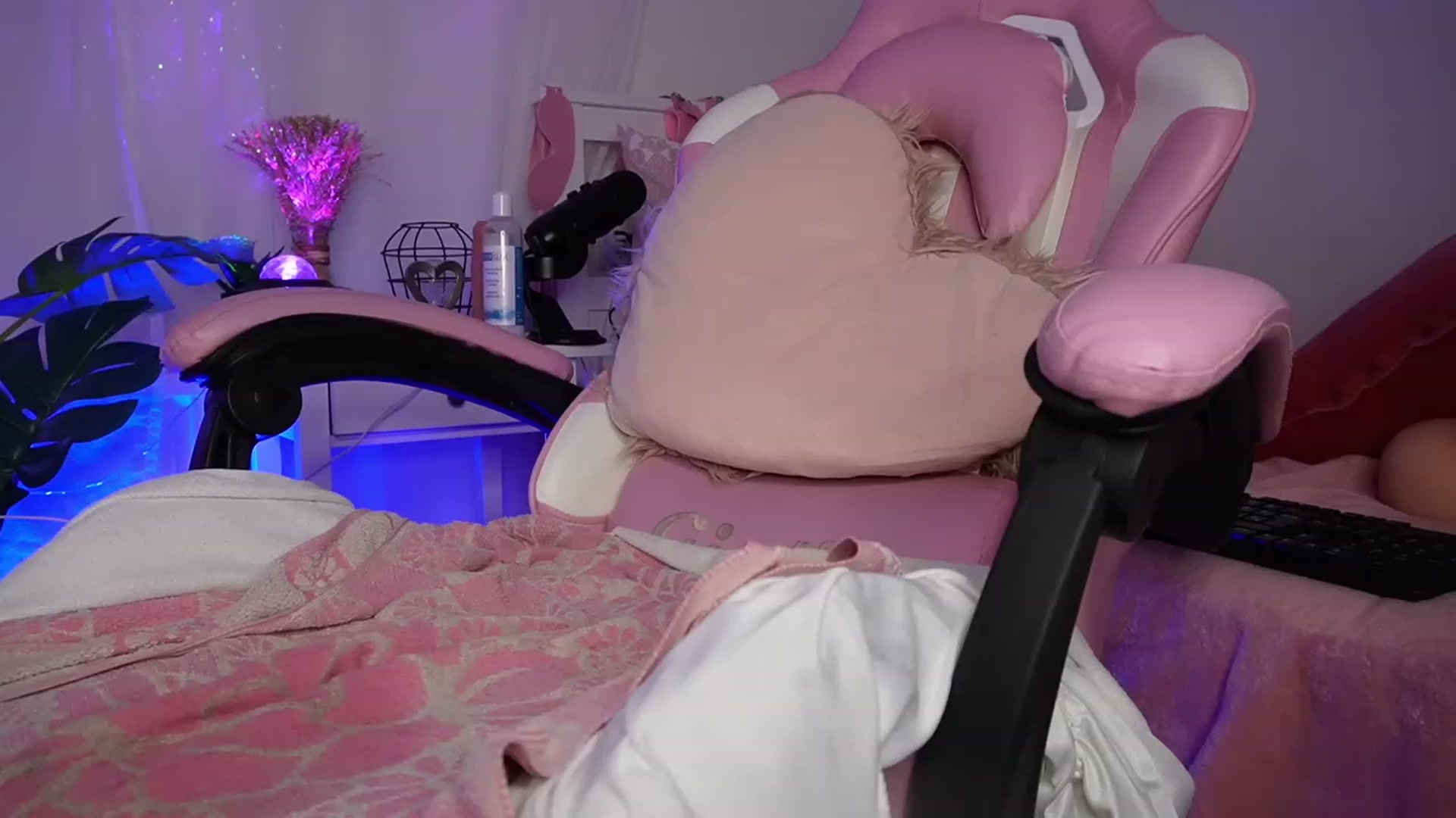 Gallery image thumbnail from AshleyJohnes's myfreecams stream on, 02/20/2023, 06:20 image 14 of 20