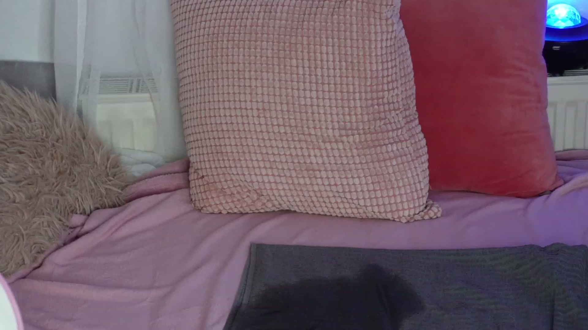 Gallery image thumbnail from AshleyJohnes's myfreecams stream on, 08/13/2023, 06:26 image 2 of 20