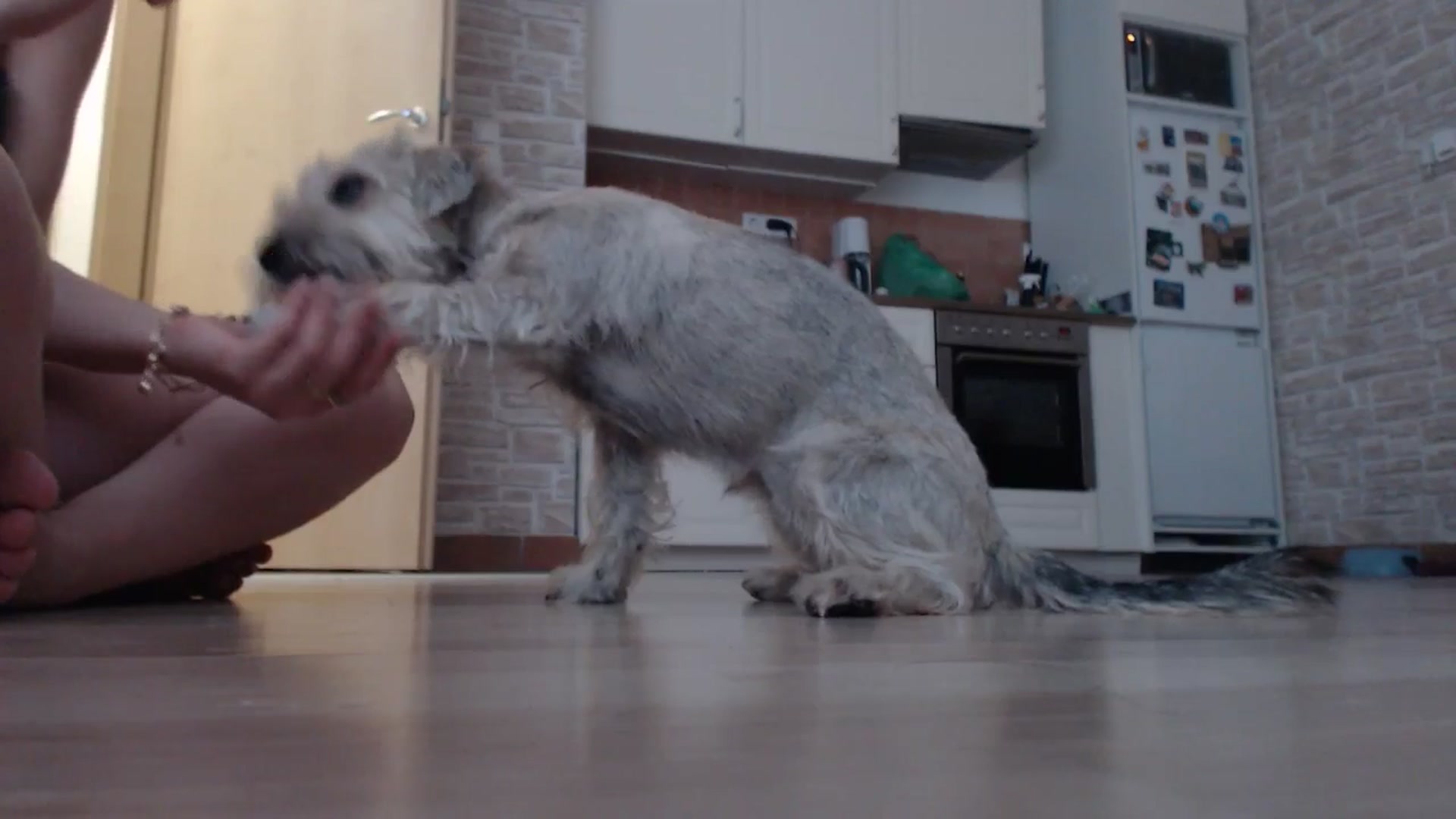 Gallery image thumbnail from AshleyJohnes's myfreecams stream on, 04/18/2025, 06:11 image 12 of 20