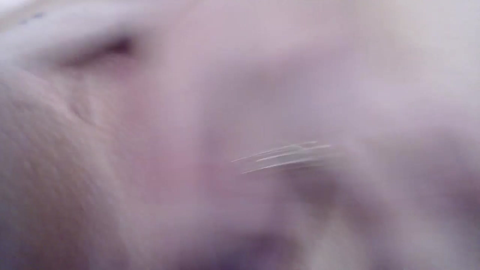 Gallery image thumbnail from AshleyJohnes's myfreecams stream on, 08/28/2025, 05:03 image 16 of 20