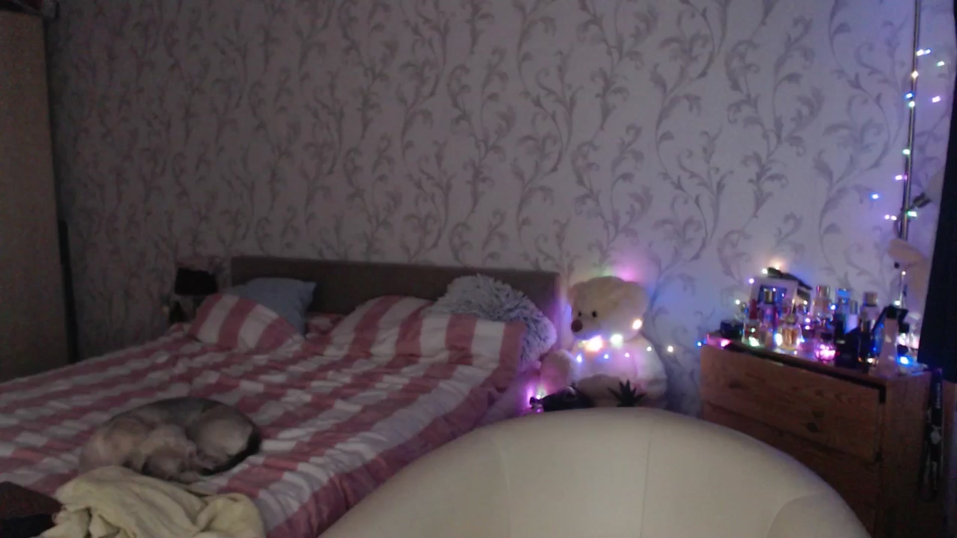 Gallery image thumbnail from AshleyJohnes's myfreecams stream on, 03/23/2026, 04:21 image 8 of 20