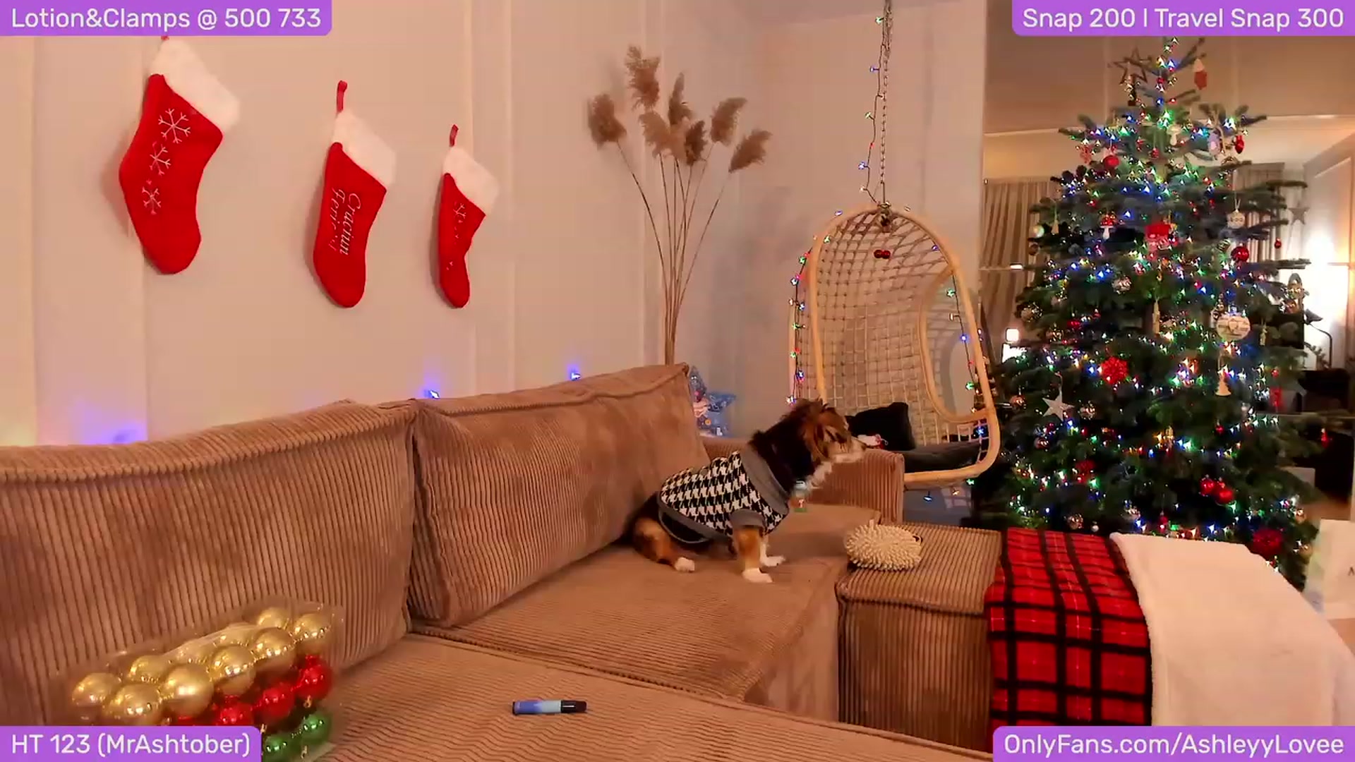 Gallery image thumbnail from AshleyLove's myfreecams stream on, 12/08/2023, 22:05 image 7 of 20