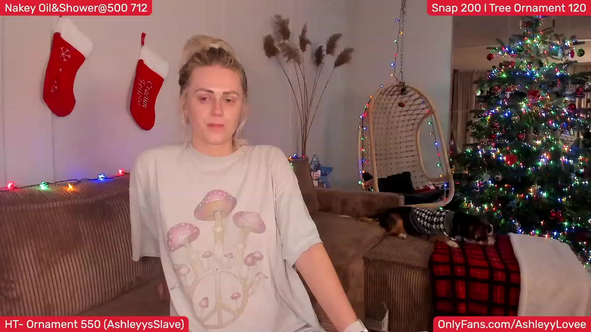 Gallery image thumbnail from AshleyLove's myfreecams stream on, 12/16/2023, 23:55 image 2 of 20