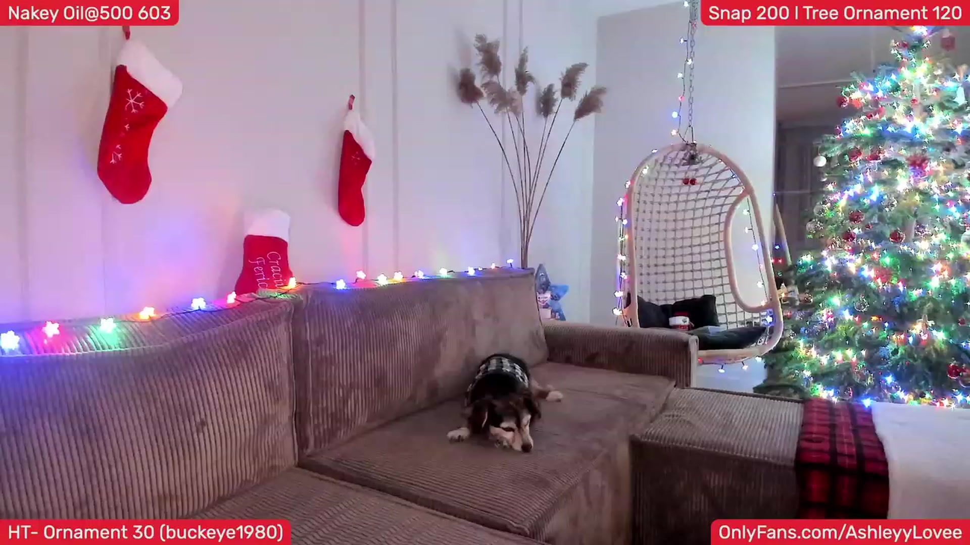 Gallery image thumbnail from AshleyLove's myfreecams stream on, 12/18/2023, 21:45 image 12 of 20