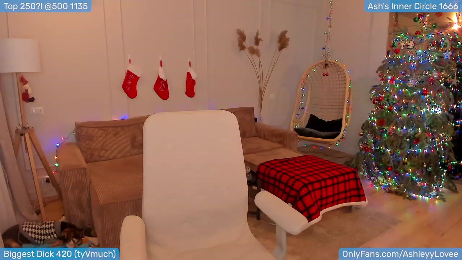 Gallery image thumbnail from AshleyLove's myfreecams stream on, 01/02/2024, 22:29 image 6 of 20