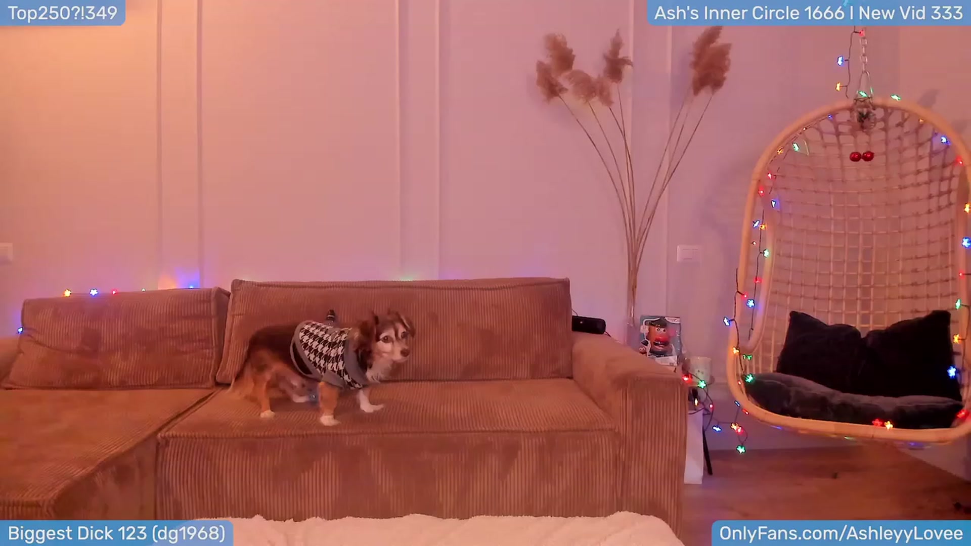 Gallery image thumbnail from AshleyLove's myfreecams stream on, 01/09/2024, 22:11 image 3 of 20