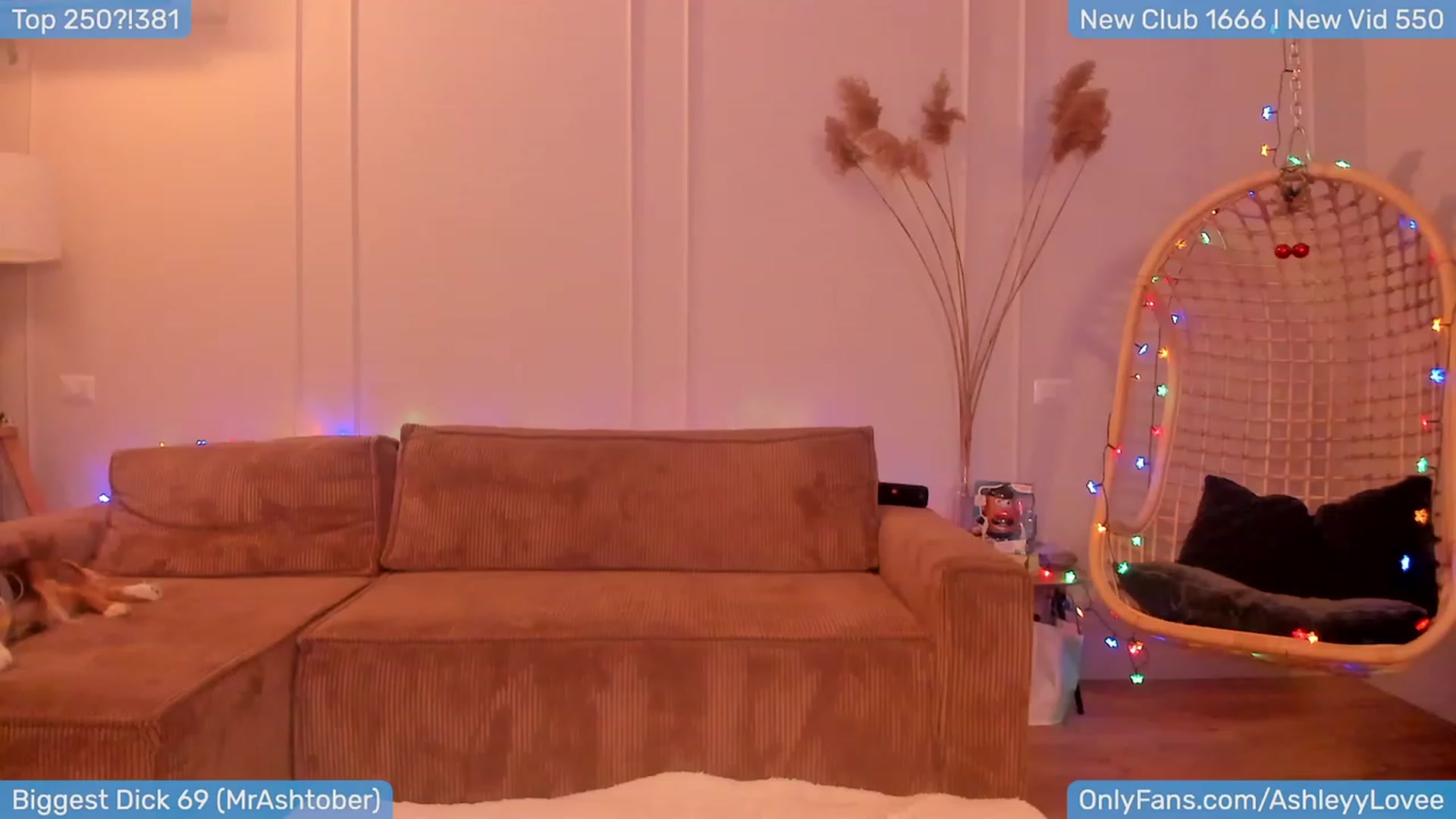 Gallery image thumbnail from AshleyLove's myfreecams stream on, 01/10/2024, 20:17 image 2 of 20