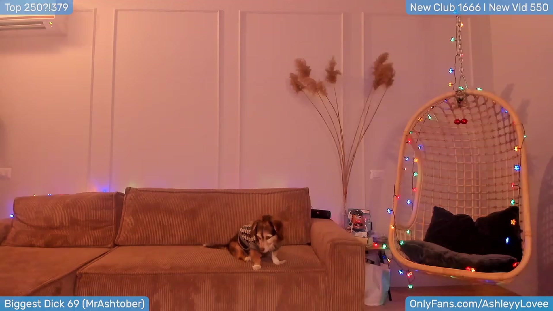 Gallery image thumbnail from AshleyLove's myfreecams stream on, 01/10/2024, 20:17 image 19 of 20