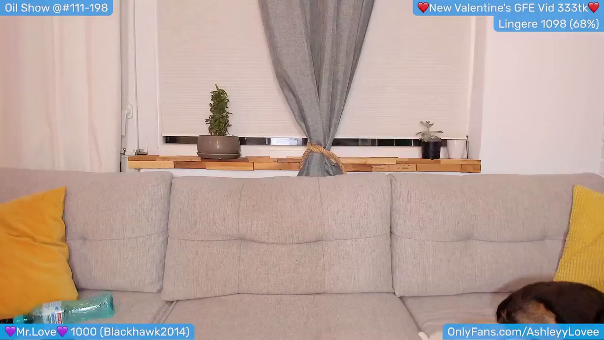 Gallery image thumbnail from AshleyLove's myfreecams stream on, 02/19/2024, 23:03 image 7 of 20