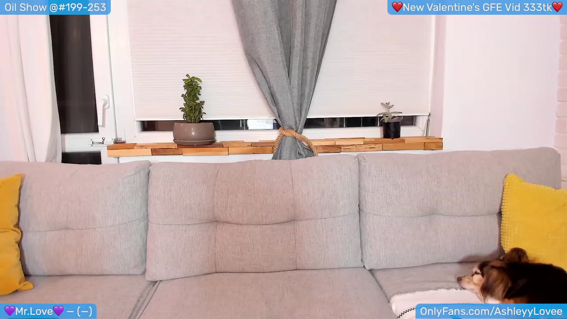 Gallery image thumbnail from AshleyLove's myfreecams stream on, 02/24/2024, 21:08 image 3 of 20