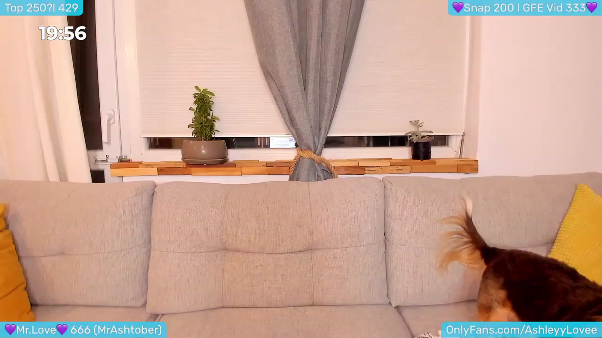Gallery image thumbnail from AshleyLove's myfreecams stream on, 03/01/2024, 22:09 image 10 of 20