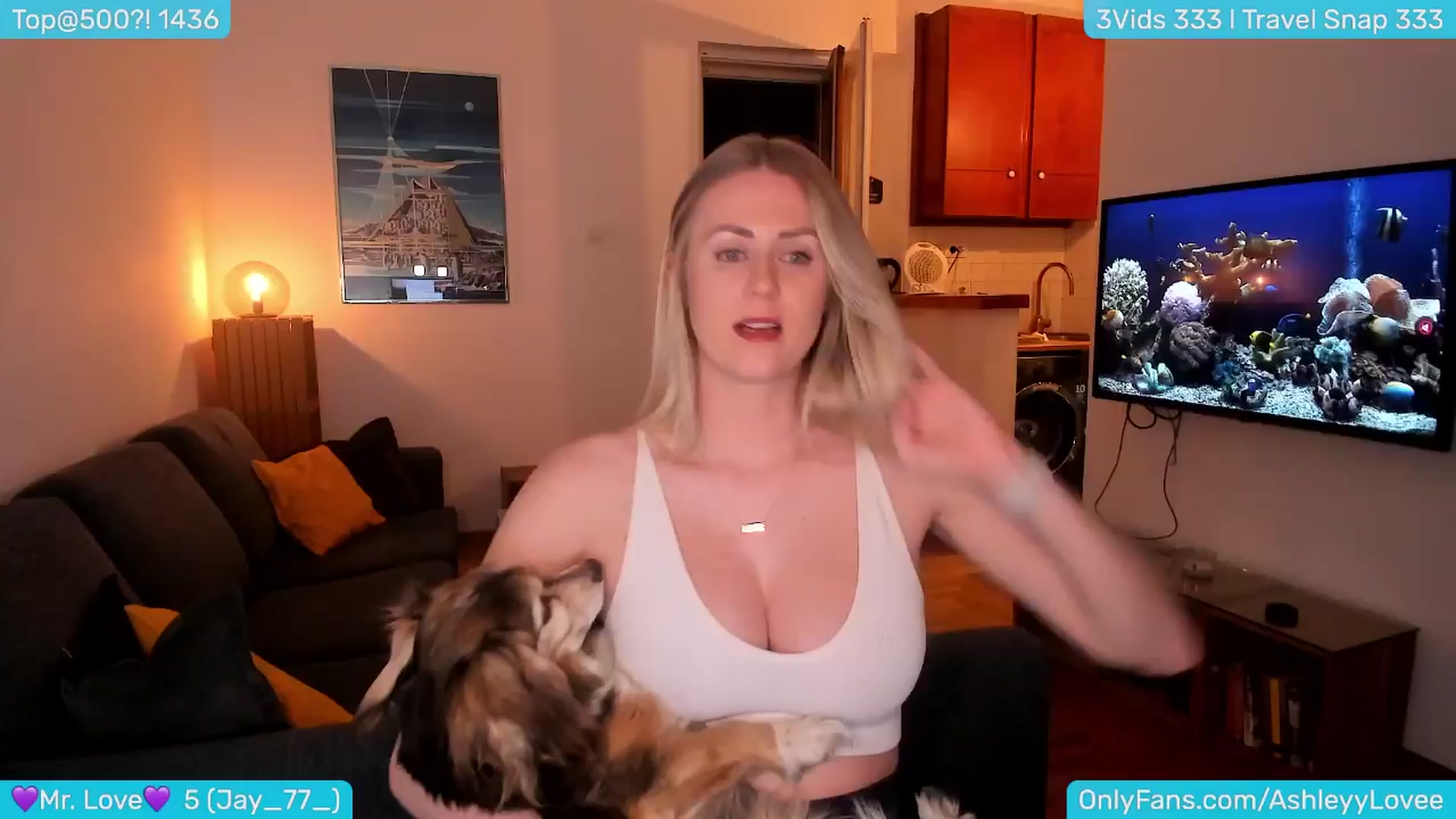 Gallery image thumbnail from AshleyLove's myfreecams stream on, 04/03/2024, 20:43 image 8 of 20