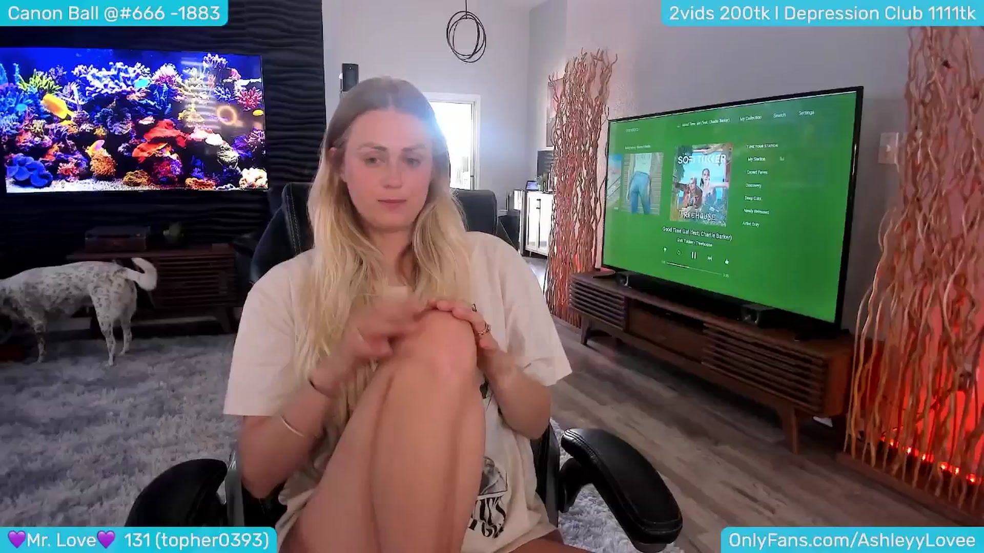 Gallery image thumbnail from AshleyLove's myfreecams stream on, 08/14/2024, 02:53 image 1 of 20
