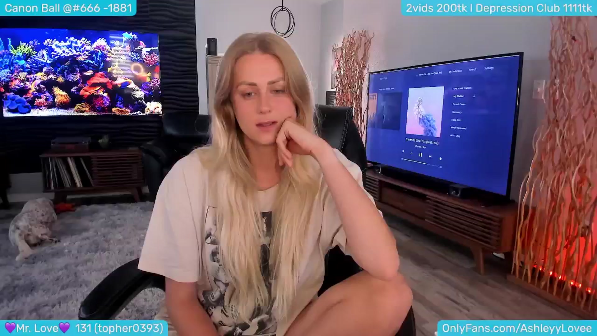 Gallery image thumbnail from AshleyLove's myfreecams stream on, 08/14/2024, 02:53 image 2 of 20