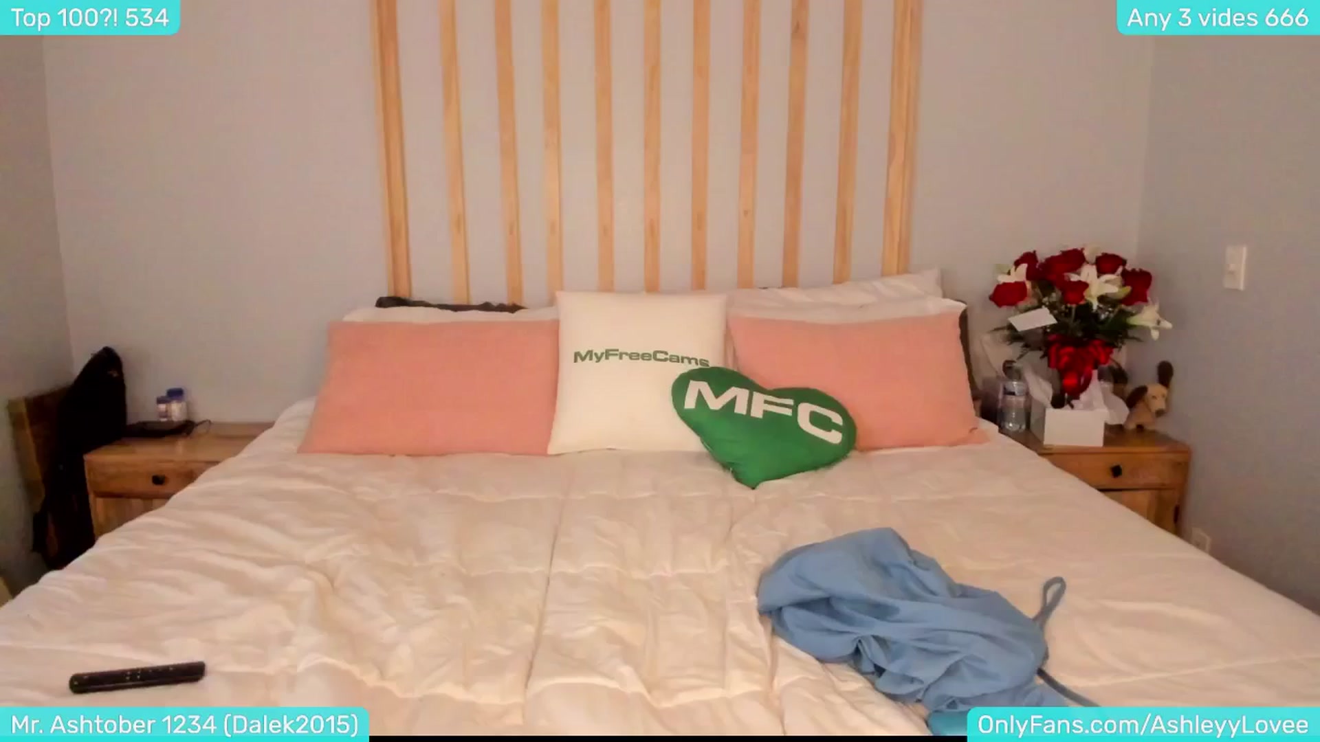 Gallery image thumbnail from AshleyLove's myfreecams stream on, 11/03/2024, 24:03 image 9 of 20