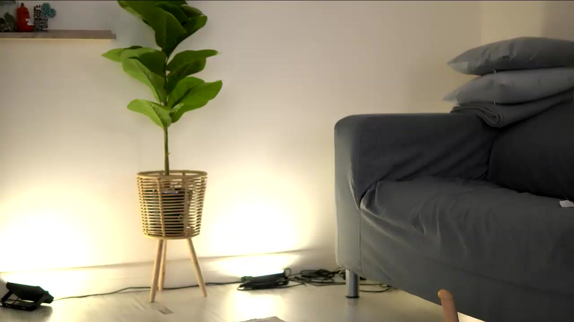 Gallery image thumbnail from AshleyVox's myfreecams stream on, 08/23/2026, 12:30 image 1 of 20