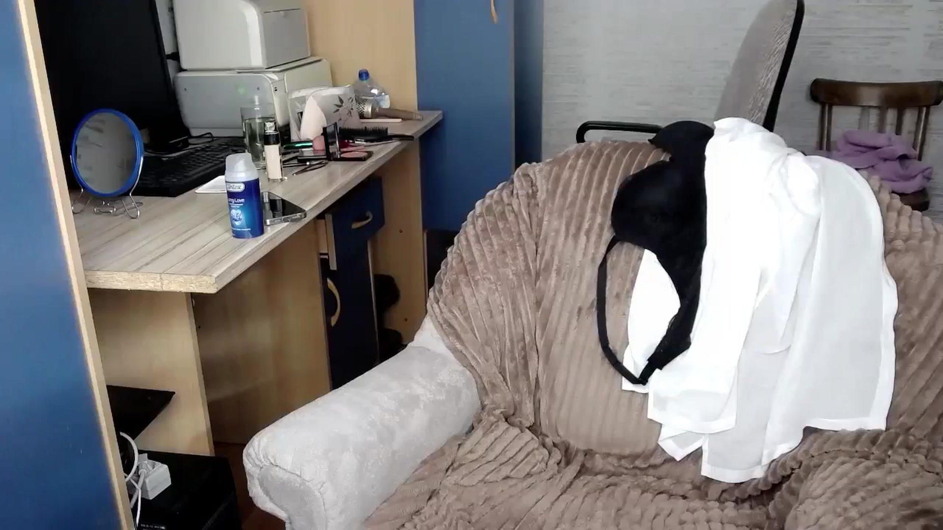Gallery image thumbnail from Ashley_cutie_'s myfreecams stream on, 03/11/2024, 08:14 image 14 of 20