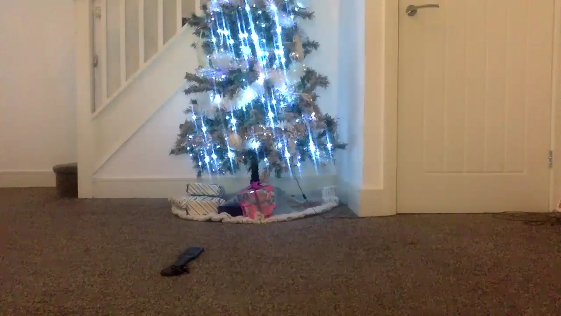 Gallery image thumbnail from AshleyyCoxx's myfreecams stream on, 12/16/2024, 13:16 image 8 of 20
