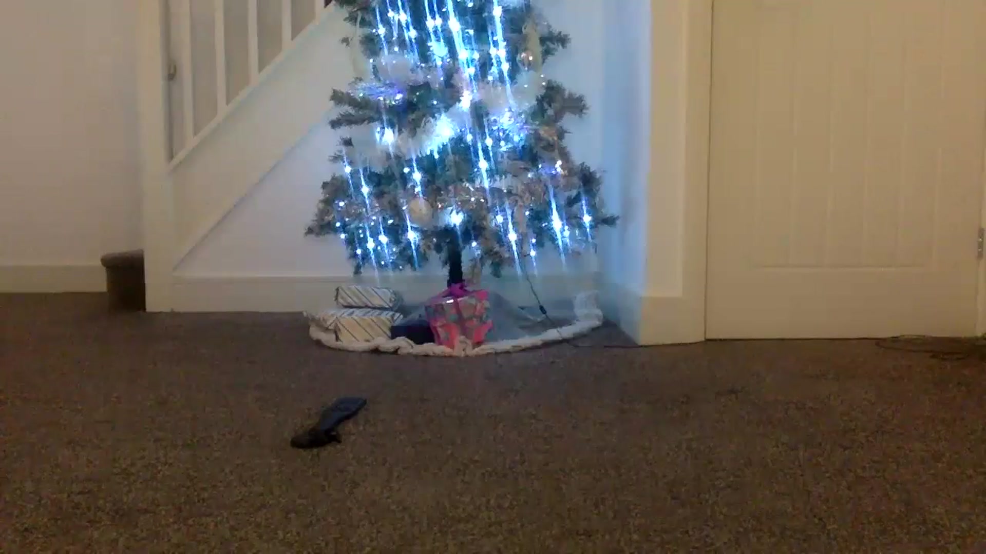 Gallery image thumbnail from AshleyyCoxx's myfreecams stream on, 12/16/2024, 13:16 image 5 of 20