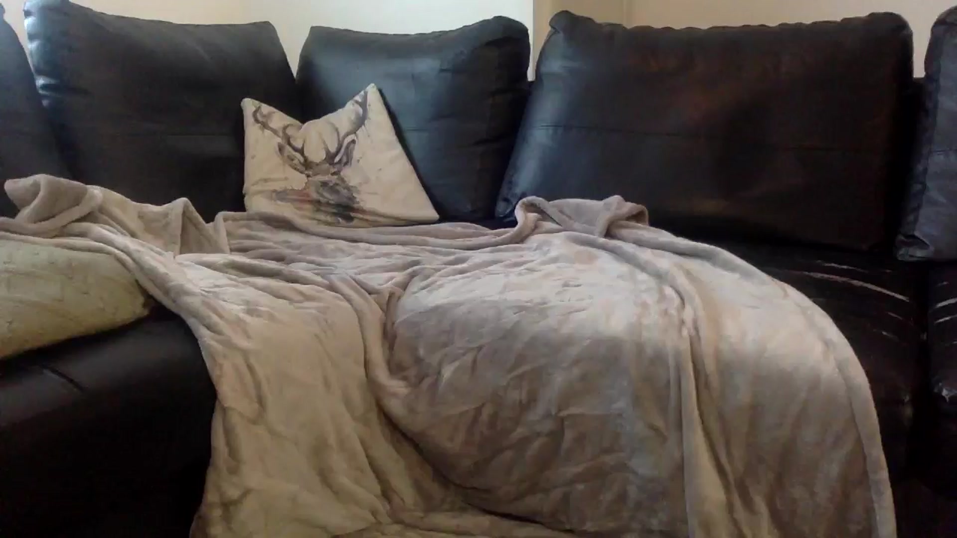 Gallery image thumbnail from AshleyyCoxx's myfreecams stream on, 03/24/2025, 09:26 image 14 of 20