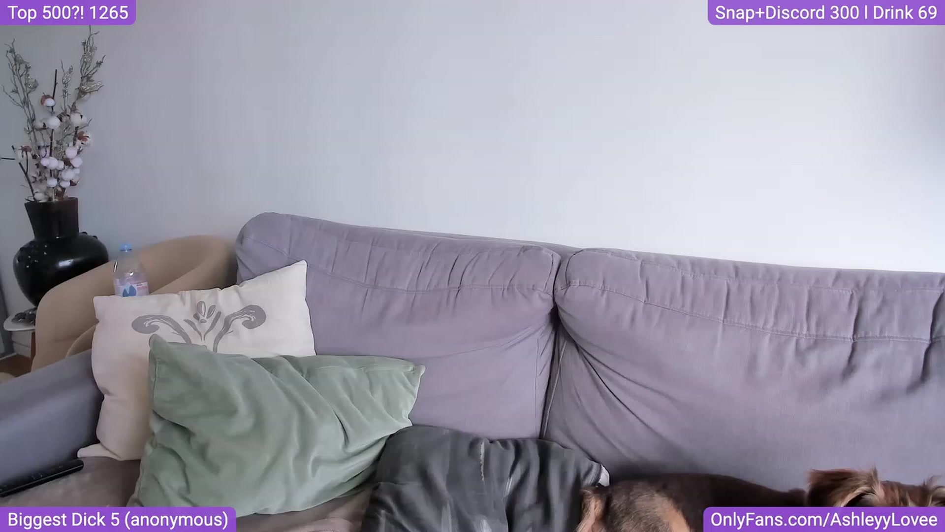 Gallery image thumbnail from AshleyyLovee's myfreecams stream on, 08/19/2023, 11:23 image 10 of 20